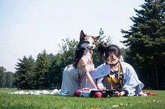 成都幼师专业学校的培养方向有哪些？