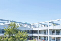 乐山市欣欣艺术职业学校网址网站多少