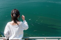 「厨师技术专业招生」退役军人学厨师选五月花