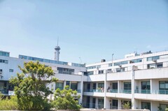  成都学厨师的理想学校是哪所