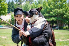 成都纺织高等专科历年单招录取分数线