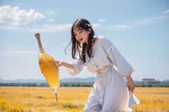  成都纺织高等专科学校单招