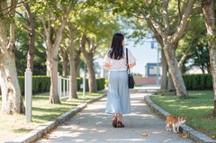  简阳育英文武职业技术学校2021年招生录取分数线