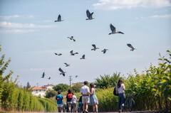  峨边彝族自治县民族职业高级中学校2022年招生简章