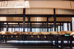 四川理工技师学院2022年报名条件、招生要求及招生对象