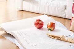  遂宁市职业技术校园2021年招生简章