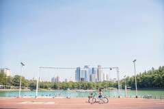 四川省学中医药专业哪个学校好