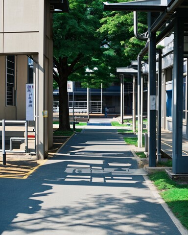 四川育英医养科技技工学校是公办不是民办学校？