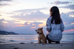  四川省信息工程校园-成都信息工程校园官网/尾页/2022招生办网址