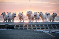 四川省经济管理学校2022年开设有哪些热门专业