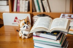  达州卫校职业学院怎样样