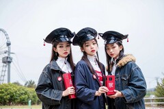  成都进展卫生校园以甚么为办学形式