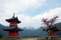 成都华西卫校2022年招生录取分数线