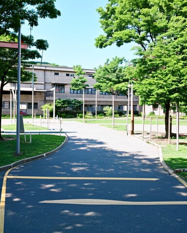四川职高能考哪些本科
