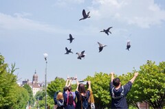 河南省职业中等专业学校