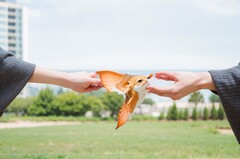 师范学校幼师专业