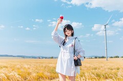 航空类的高校