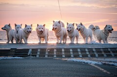 呼和浩绝技校招生