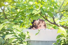 正规铁路学校
