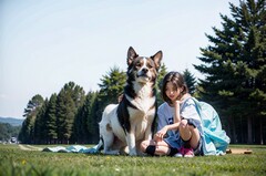 石家庄女子职业学校