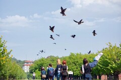 男孩子上什么大学好