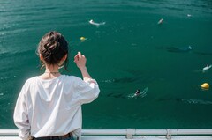 初中毕业学国际幼师专业