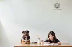 高铁有什么专业大学