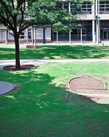 高三读国外大学