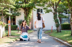 四川单招高职学校