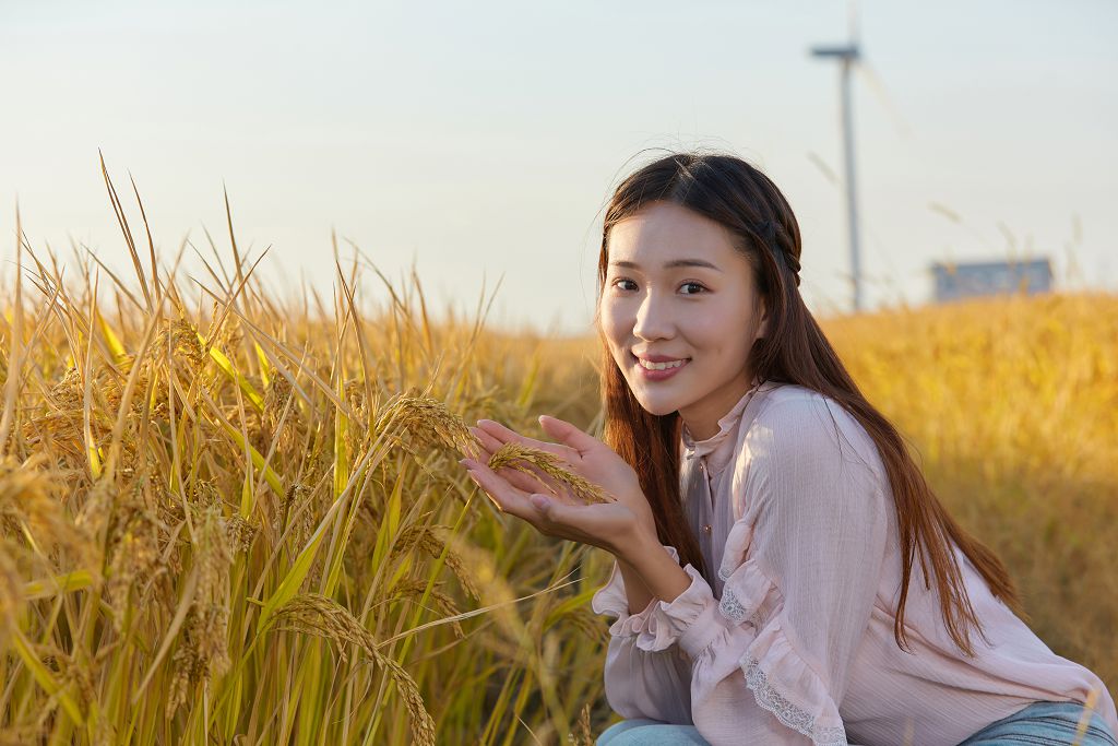 初中毕业学历如何提升